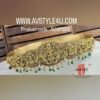 Most Trending Nakshi Hipbelt